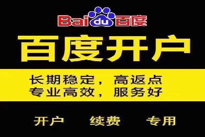 案例解析：推广竞价助力企业抢占市场份额